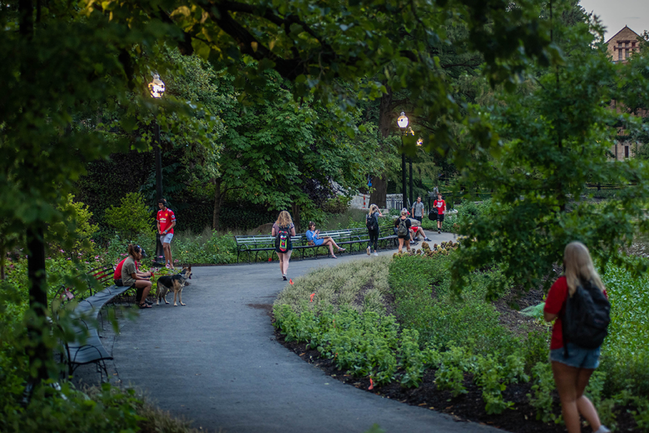 Walking on a curving path with lush green foliage in twilight of The Ohio State University Columbus campus. Image courtesy of The Ohio State University.