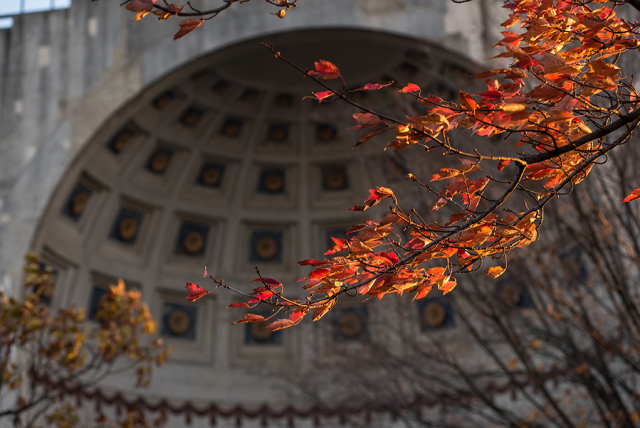 Entryway to The Ohio State University stadium with fall leaves in the foreground. Image courtesy of The Ohio State University.