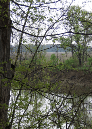 View of trees; reflections in water and a distant view of a field at Mound City, National State Park. Image Courtesy of Timothy E. Black.