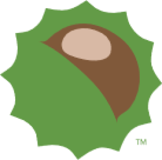 Buckeye nut in prickly green shell. Image courtesy of The Ohio State University.