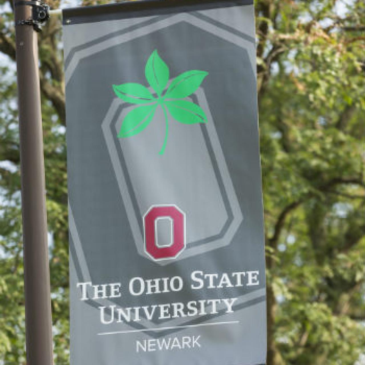 Gray flag of The Ohio State University at Newark against green tree limbs. Image courtesy of The Ohio State University.