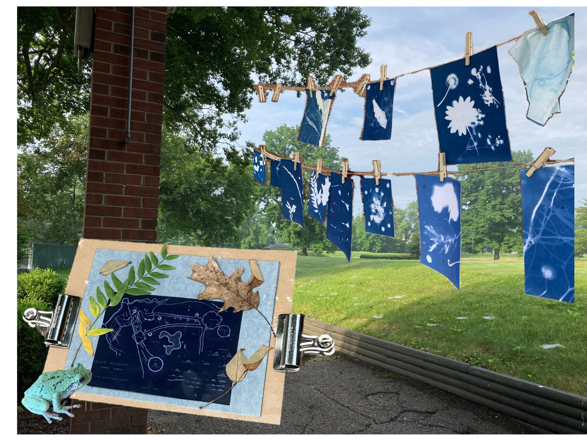 The Octagon Earthworks are sunlit in the background, with blue cyanotype prints on a clothesline of nature and earthworks images to the right, a small green frog sits in front of a clipboard with a map of the Newark Earthworks and leaves as a cyanotype print is curing to the left.