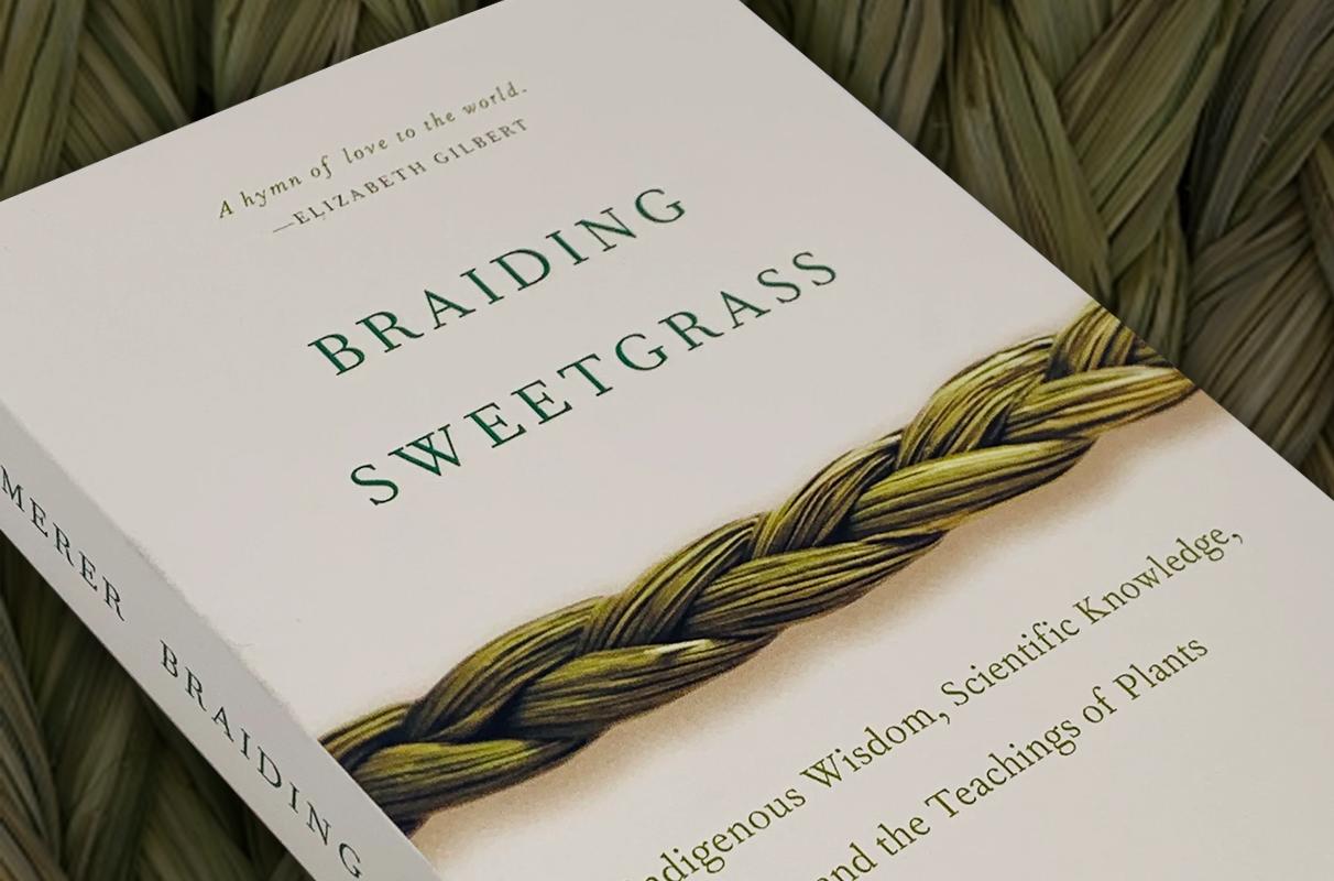 Braiding sweetgrass book cover